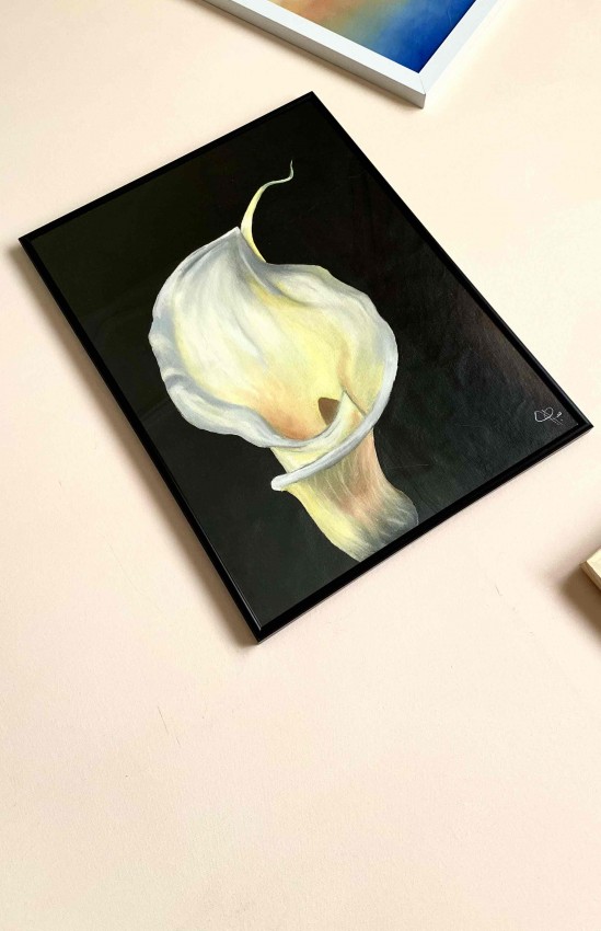 Calla Rose