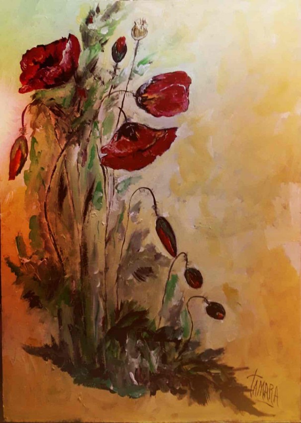 Anemone Coronaria