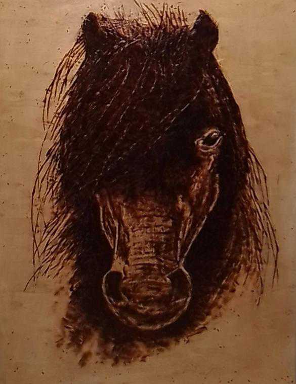 Arabian Horse (Pyrography)