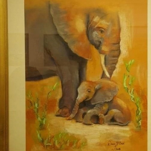 Elephants