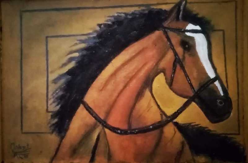 Pure Arabian Horse