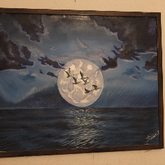 Moon And Night