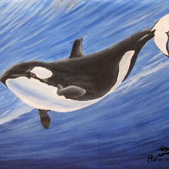 Whale