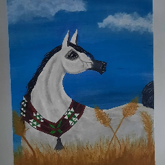 Arabian Horse