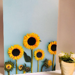 Sunflowers