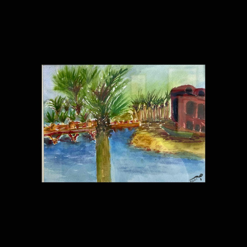 منظر من الجونا