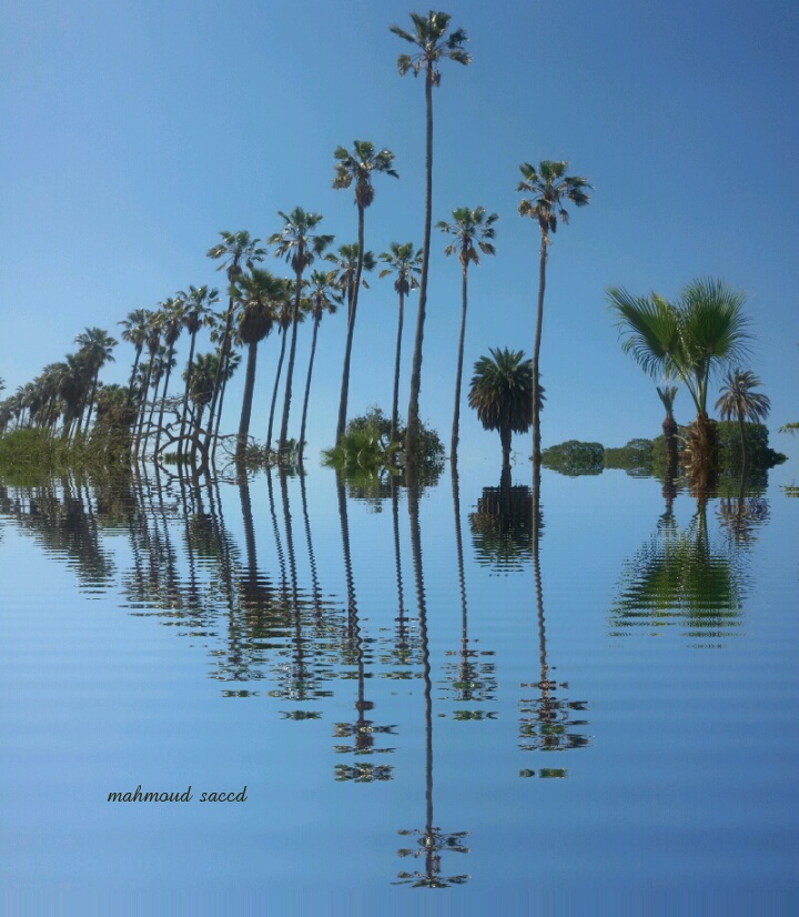Landscape