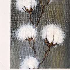 The Cotton Tree