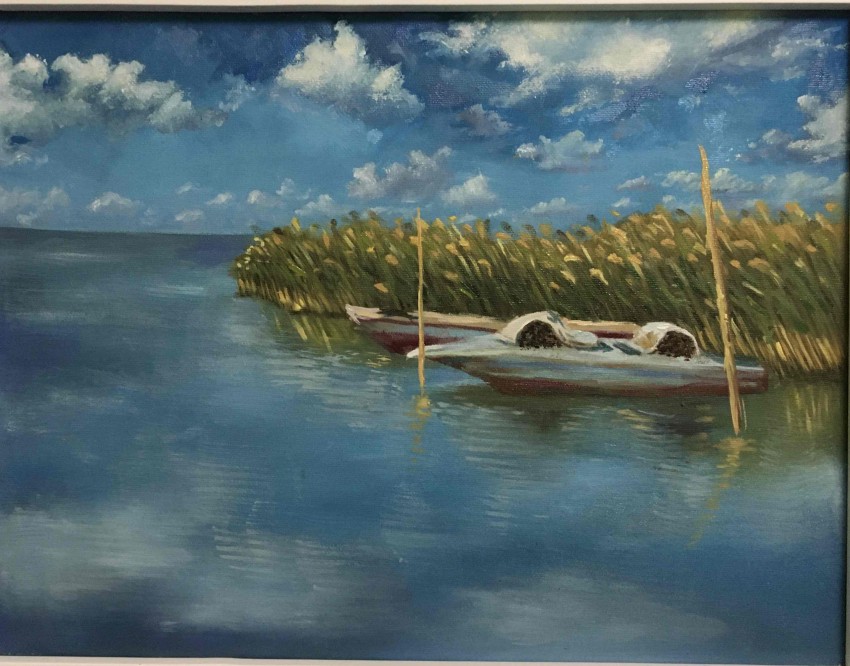 The Burullus Lake