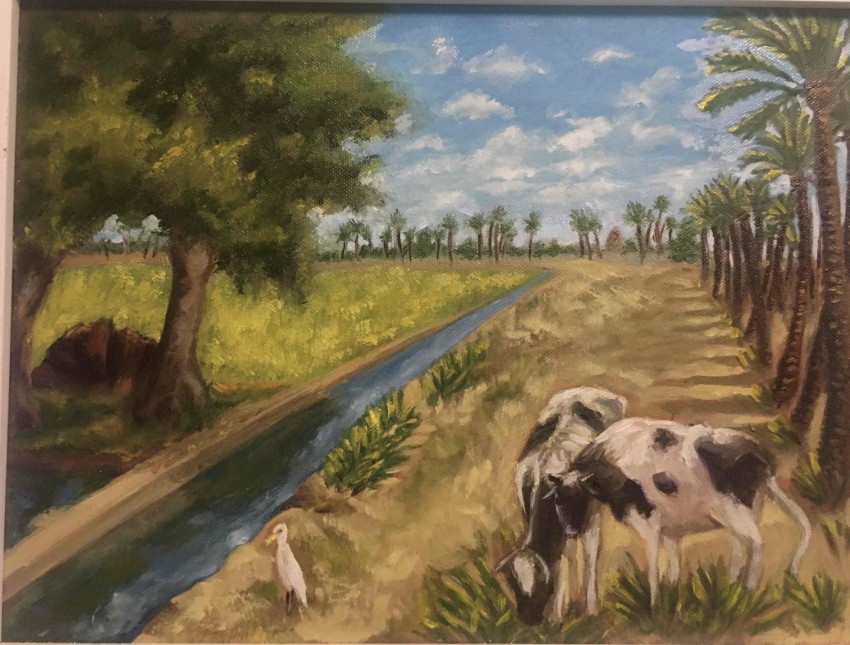 Delta Countryside