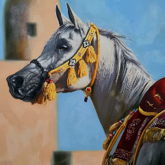 Arabian Horse