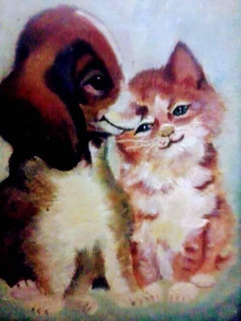 Cat & Dog