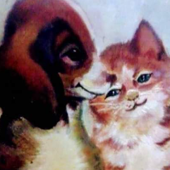 Cat & Dog