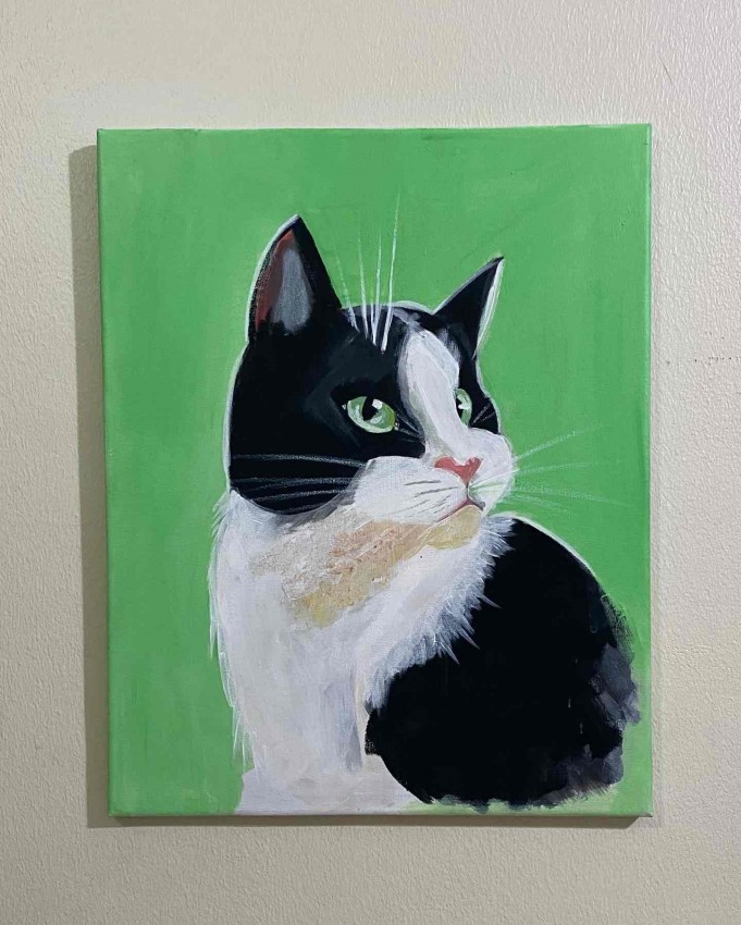 Esha The Cat
