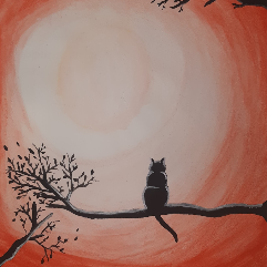 Lost Cat