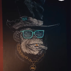 Cool Monkey