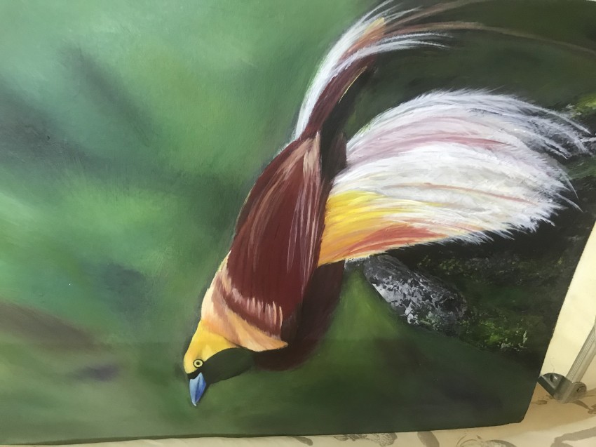 Bird Of Paradise