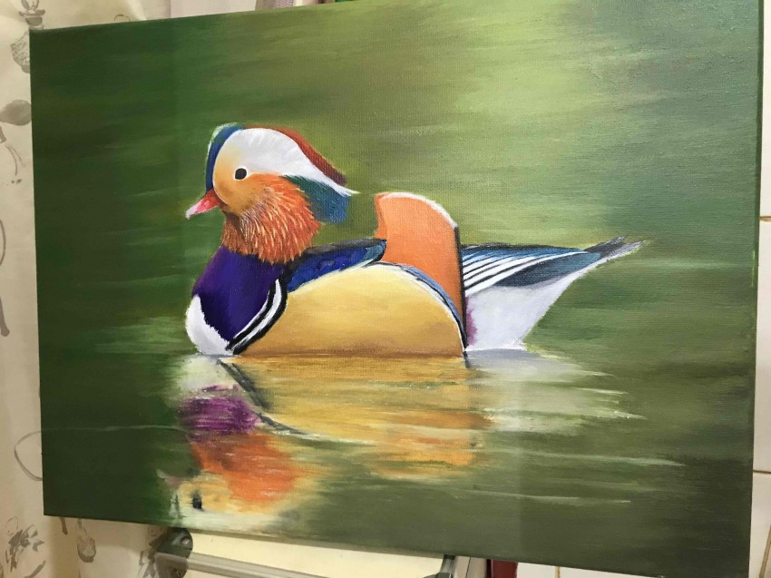 Mandarin Duck