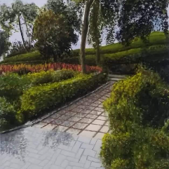 منظر طبيعي من حديقه الازهر
