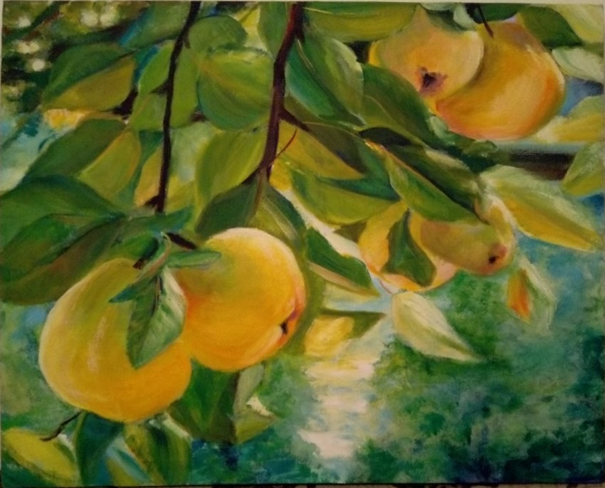 Quince Garden