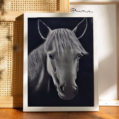 Pencil and charcoal drawing