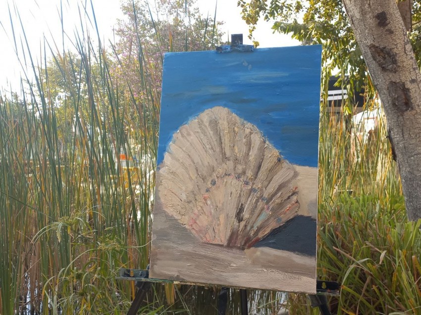 Shell