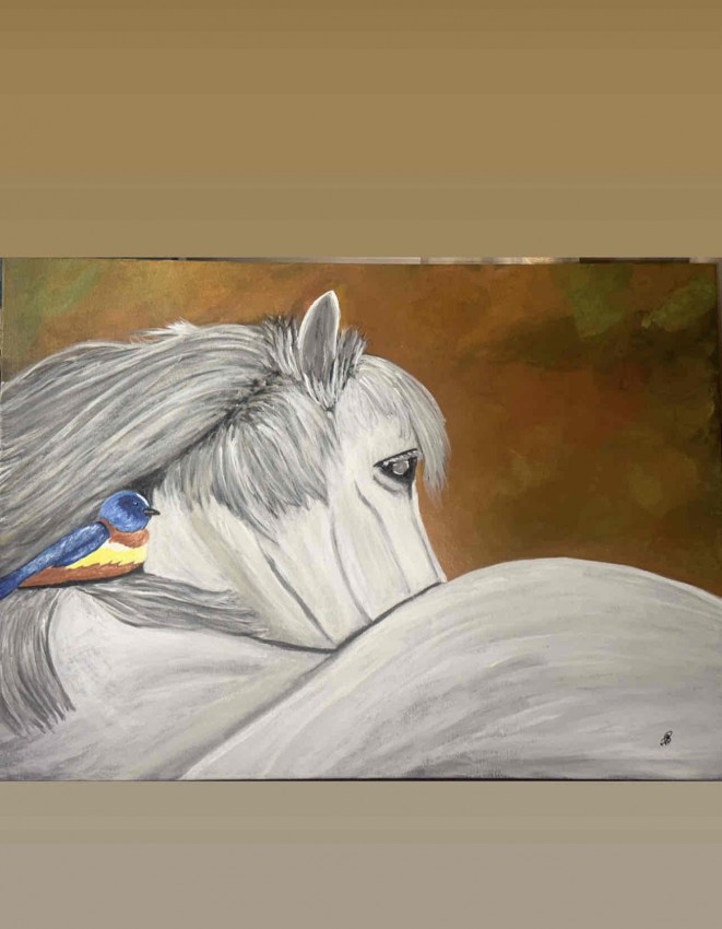 Cashmere And The Bird