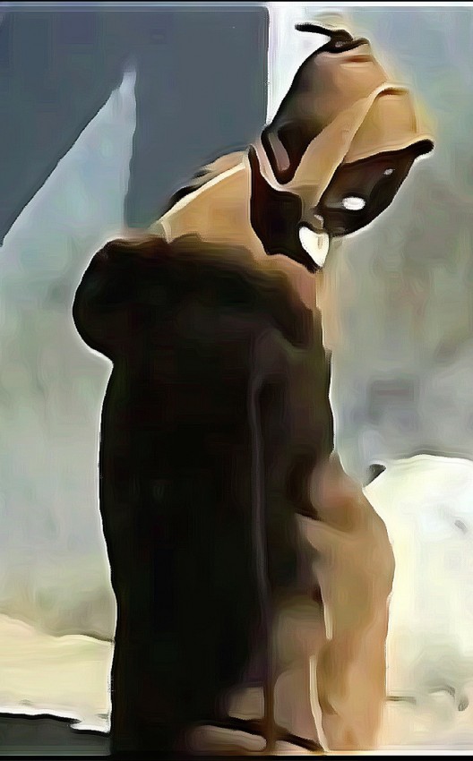 جلباب الرجال