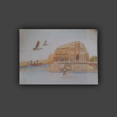 The Marshes Of iraq