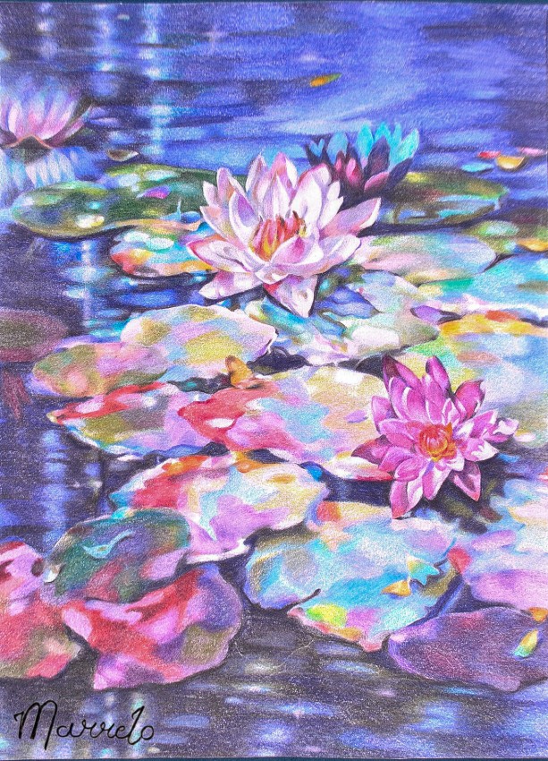 Water Lillies