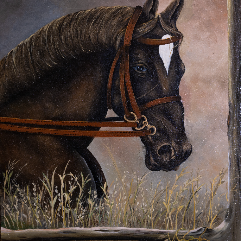 Confused Horse