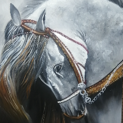 Arabian Horse