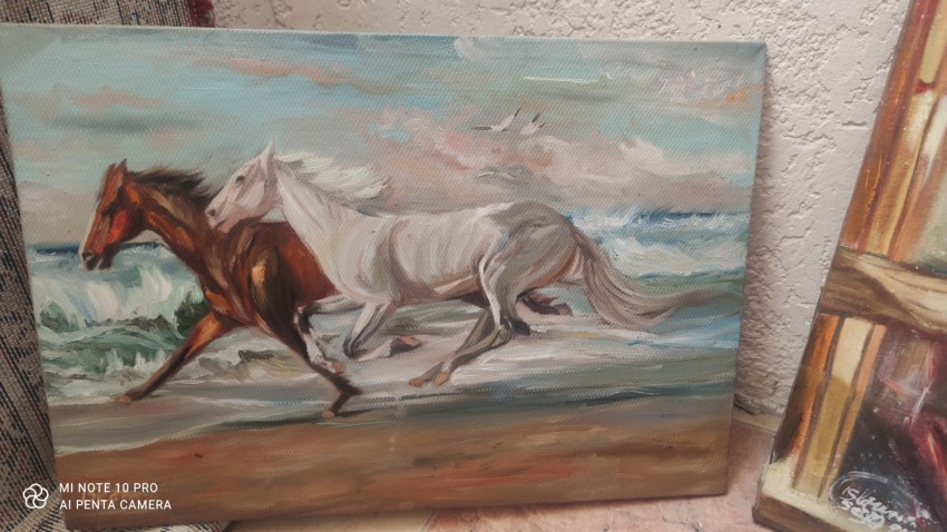 خيول على الشاطئ