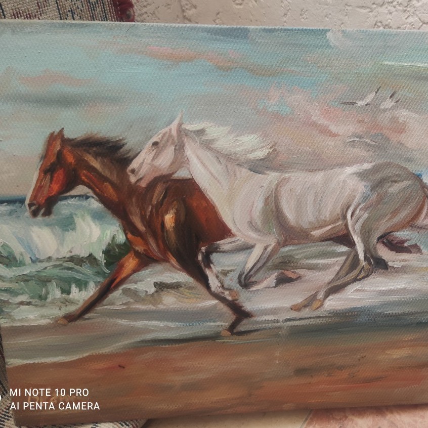Horses On The Beach
