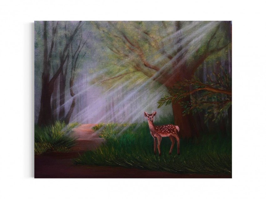 Forest After The Rain
