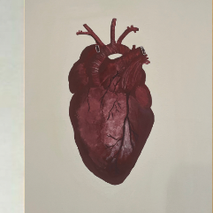 Heart