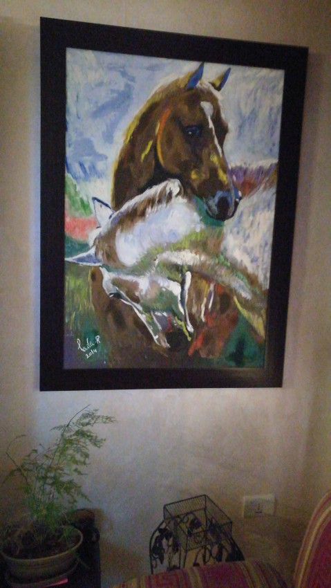 Horses