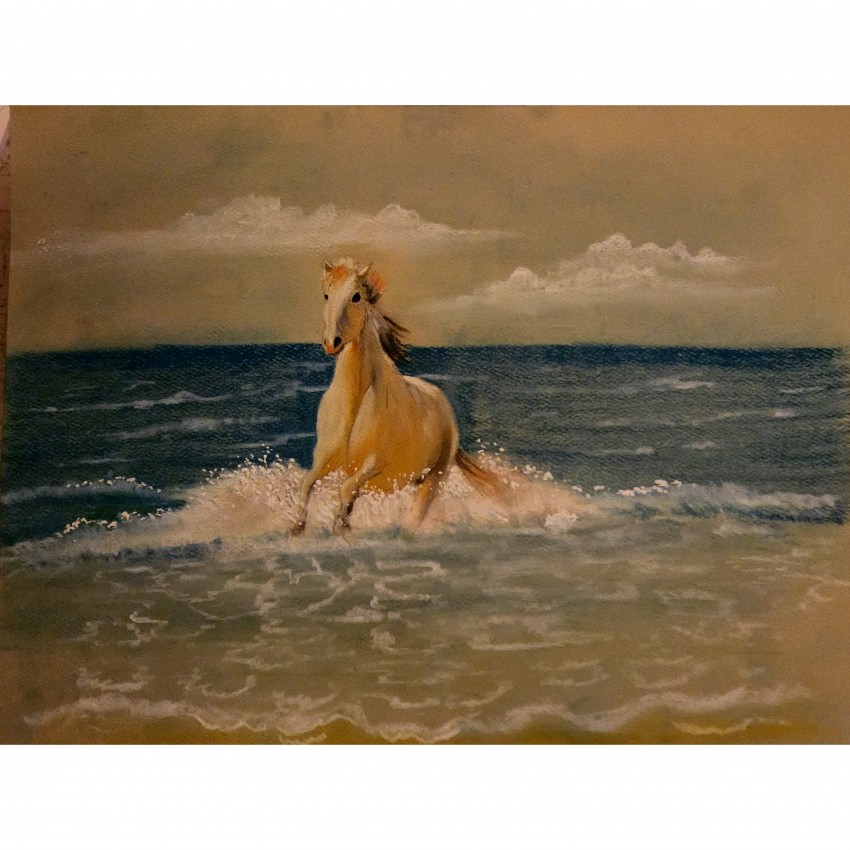 Horse By The Beach